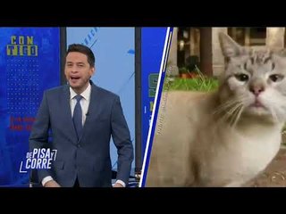 Programa completo del 19 de junio de 2019 | De Pisa y Corre