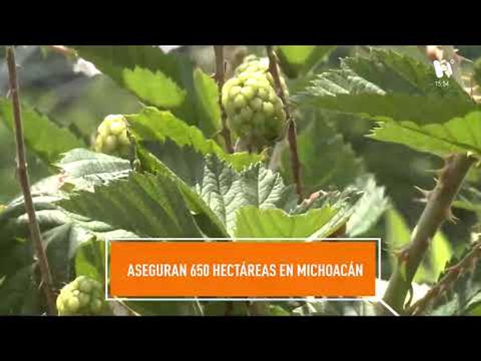 #ElHeraldoTV.  Noticias México. José Narro renuncia al PRI