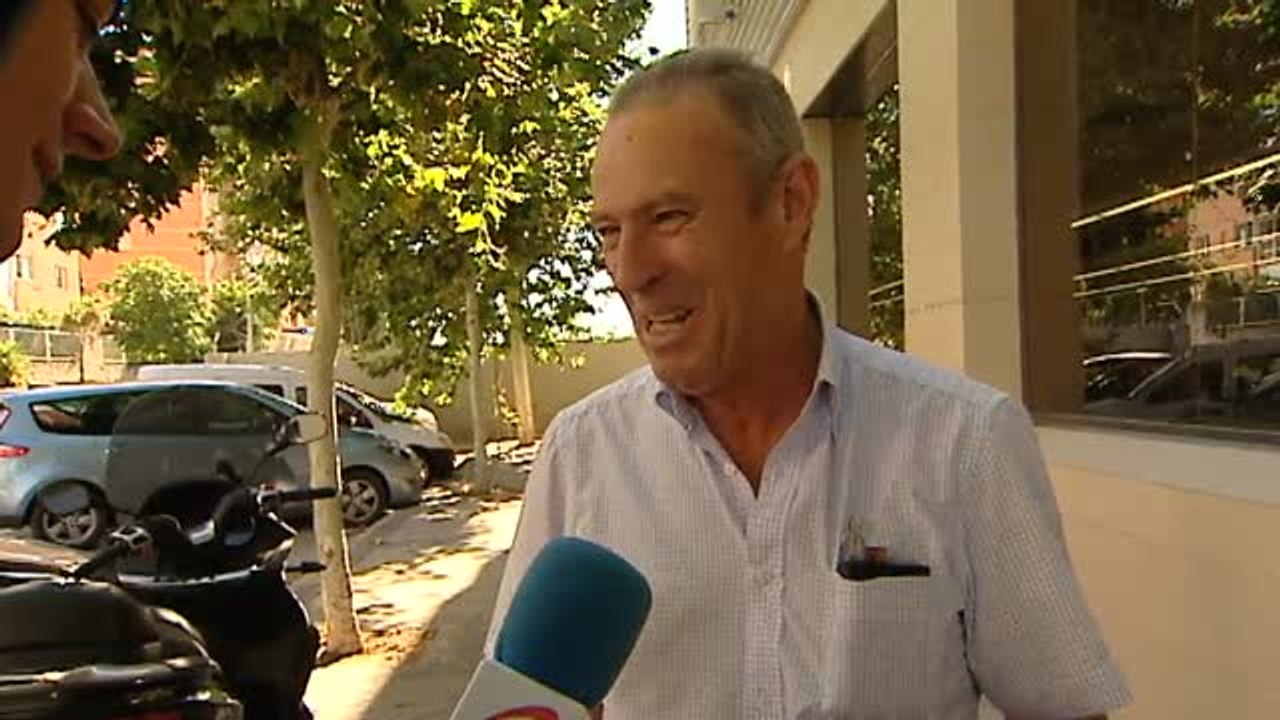 41 millones de gallinas nunca ven la luz del sol