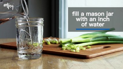 How to Regrow Green Onions in Nothing But Water