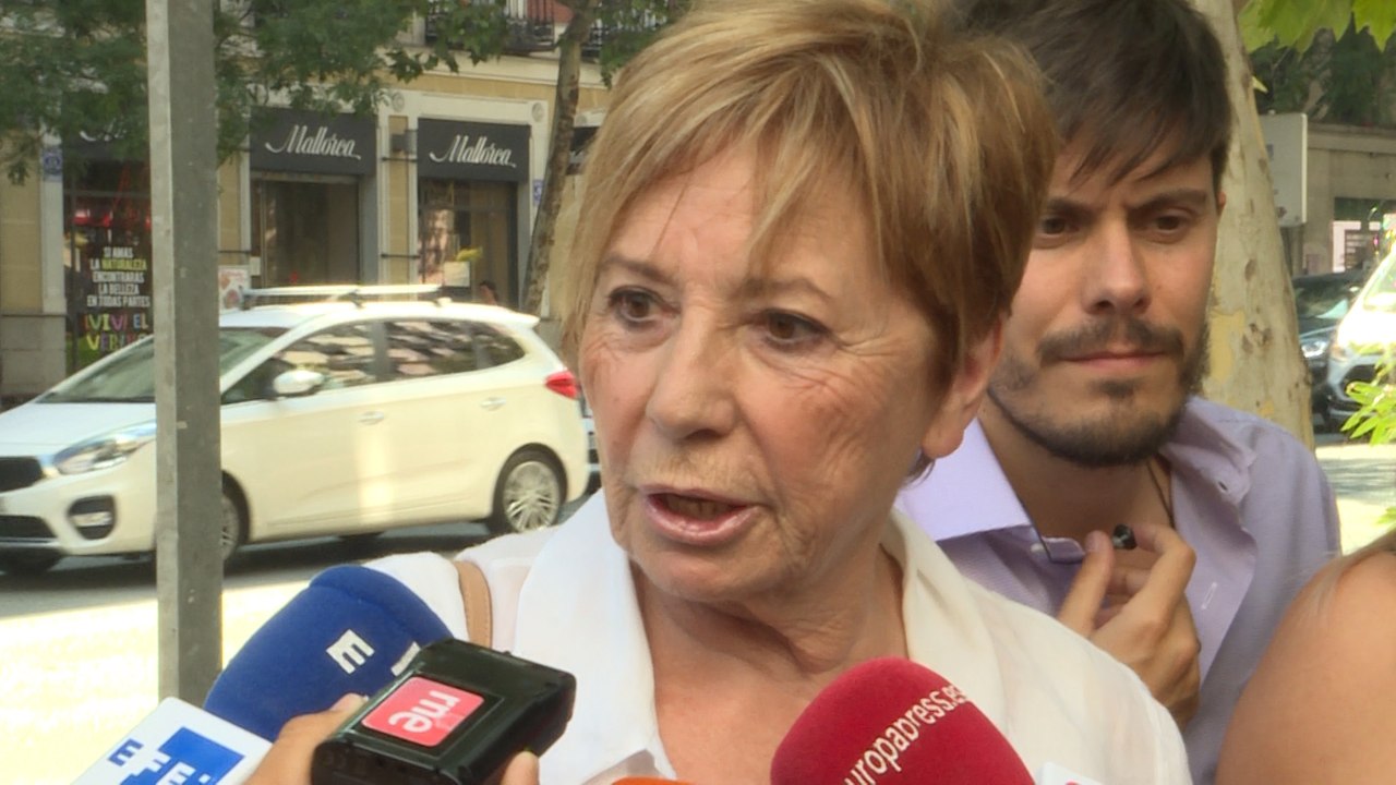 Villalobos: "Este partido nunca ha tenido corrientes"