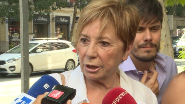 Villalobos: Este partido nunca ha tenido corrientes