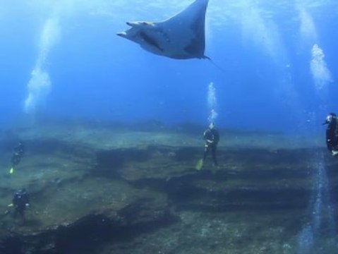 Espectaculares fondos marinos en El Hierro
