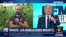 Orages à répétition: les agriculteurs inquiets (2/2)