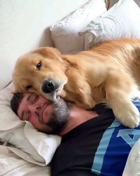 Adorable !! Cet homme et son chien dorment ensemble.