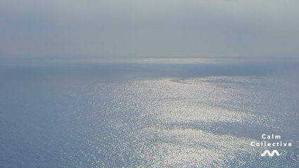 Calm Collective - Mindful Calm