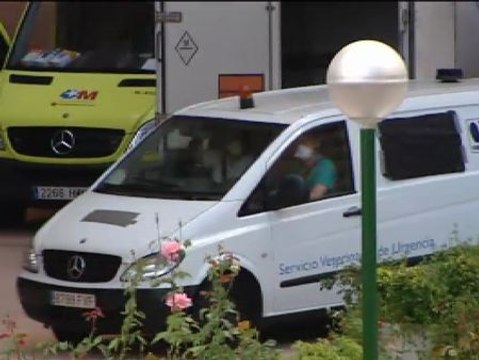 La Consejería de Sanidad de Madrid sacrificó a Excalibur después de sedarlo