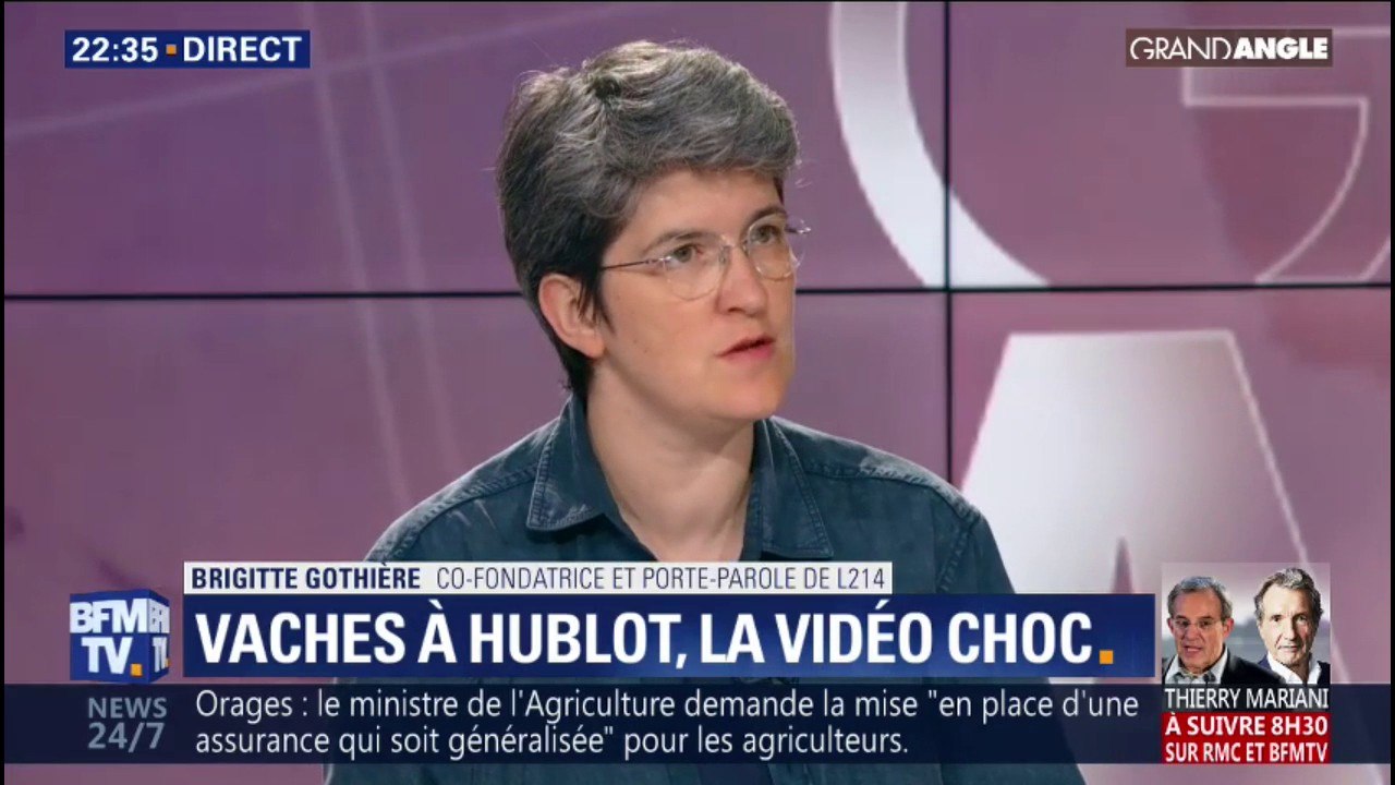Vaches à hublot: pour la co-fondatrice de L214, "les animaux sont vus comme des machines qu'on peut toujours plus optimiser"