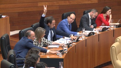 Sesión plenaria 81 en la Asamblea de Extremadura