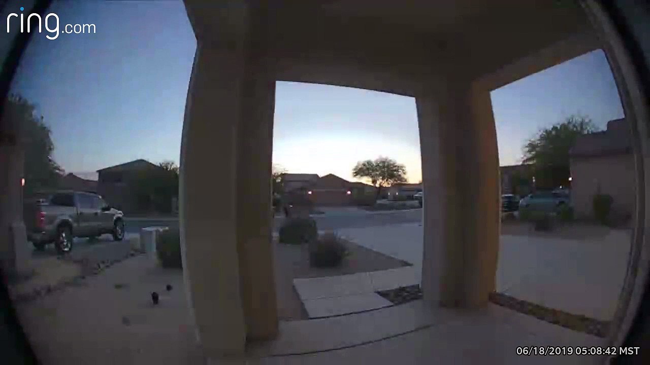 Woodpecker Wake Up Call