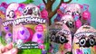 Opening Hatchimals CollEGGtibles and Finding Limited Edition Egg