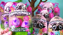 Opening Hatchimals CollEGGtibles and Finding Limited Edition Egg