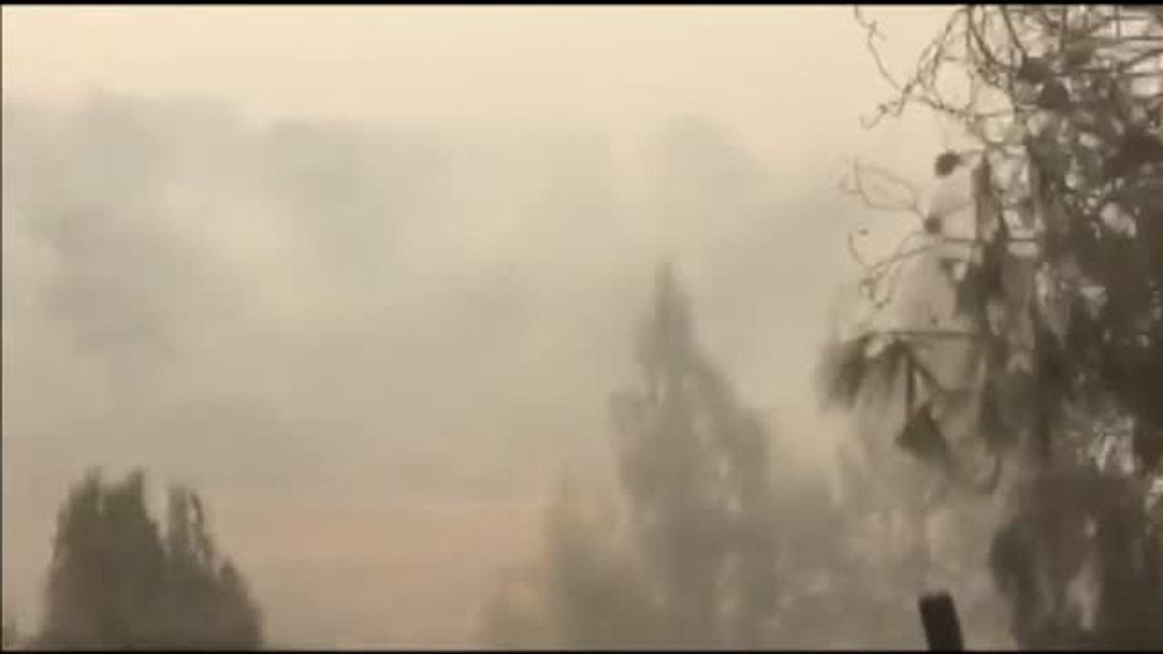 Ya ascienden a 74 las víctimas mortales por los incendios de Grecia