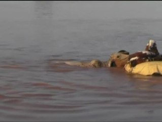 Tải video: Las inundaciones en Pakistán causan al menos 320 muertos