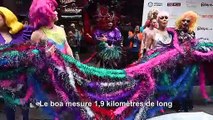 New York bat le record du monde du plus long boa en plumes