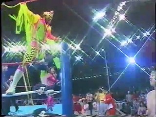 Randy Savage vs. Genichiro Tenryu (04-13-90)