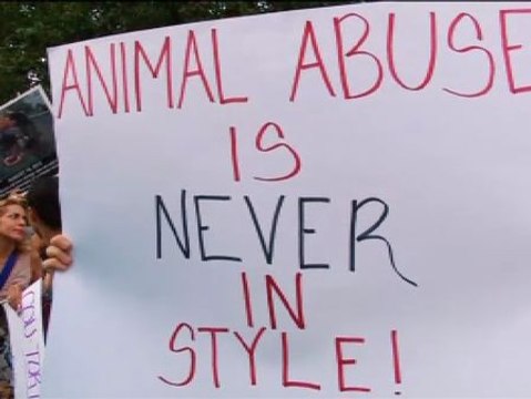 El 'no' a los carruajes de caballos protagoniza el arranque de la semana de la moda de Nueva York