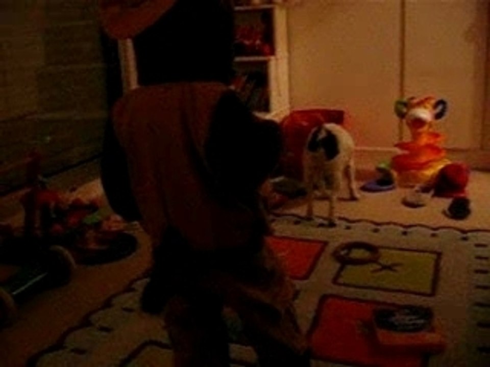 promenons nous dans les bois...