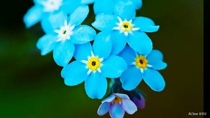 강남더킹OlO'65O5'O5O7강남풀사롱하드한곳강남풀싸롱역삼풀사롱선릉룸사롱위치강남역룸사롱강남풀싸롱대치동풀사롱선릉룸싸롱신림룸사롱사당룸사롱강동룸사롱강서룸사롱천호동룸사롱가락시장룸사롱역삼역룸사롱방배동룸싸롱압구정풀사롱강남두바이강남초원의집선릉룸싸롱56564