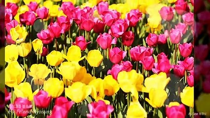 강남더킹O1O=65O5=O5O7강남풀싸롱출근률대박강남풀사롱역삼풀사롱선릉풀싸롱대치동풀사롱선릉란제리역삼동룸싸롱대치동풀싸롱삼성동퍼블릭강남초원의집선릉식스강남더킹강남노래방서초동룸사롱강남야구장선릉룸사롱강남두바이신사동룸사롱역삼풀싸롱강남레깅스강남풀쌀롱364364