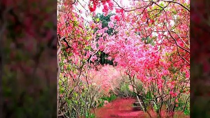 강남룸싸롱O1O=65O5=O5O7강남풀싸롱쭉쭉빵빵NF초이스강남풀사롱역삼동풀사롱역삼룸싸롱강남야구장선릉풀사롱강남두바이강남화수분강남빅맨강남룸싸롱대박초이스강남풀싸롱미러초이스강남접대바이어접대외국인접대중국인접대장소압구정풀싸롱선릉역룸사롱대치동풀싸롱풀사롱564564