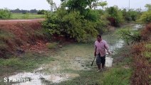 Unique Fishing | Catching Catfish In rain Season| Find Catfish after raining