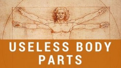 5 Useless Human Body Parts You Don't Need - Evolution Leftovers
