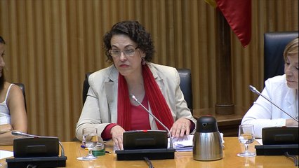 Gobierno pagará atrasos de subidas de pensiones el 27 de julio