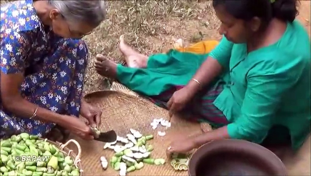 Noix de cajou au Curry  Santé Alimentaire du Village par la grand-mère et de la Fille | la Vie du Village