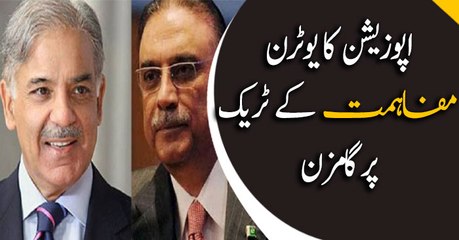 Zardari says PPP ready to support govt to guide country out of crises; TFP