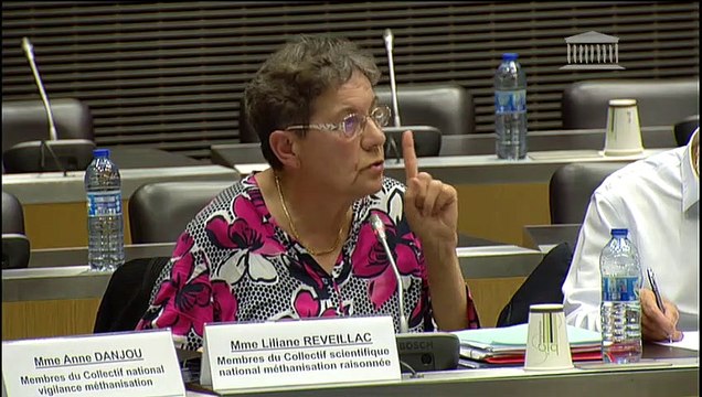 Impact des énergies renouvelables : Auditions diverses - Jeudi 20 juin 2019