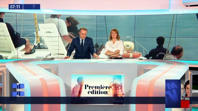 Golfe du Lion : les cétacés recensés