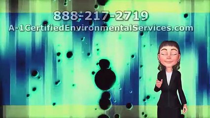 Mold Testing Pasadena