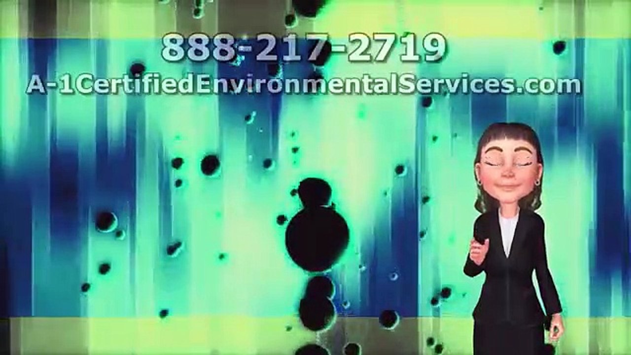 Mold Testing Pasadena