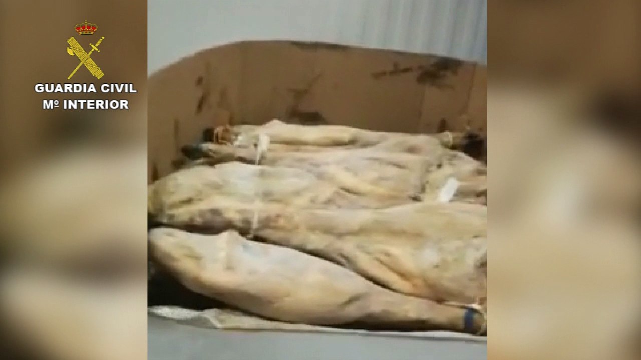 Intervenidos más de 10.000 jamones y embutidos en mal estado