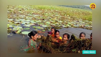 कैसे तमिल नाडु की ये महिलाएं नदियों को बचा रही हैं?