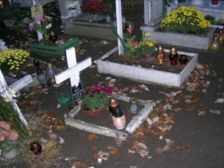 Poland aiesec internship wroclaw 2007/2008