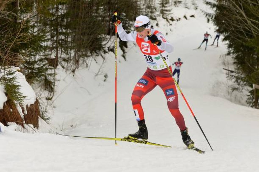 Die verschiedenen Schubtechniken beim Skilanglauf