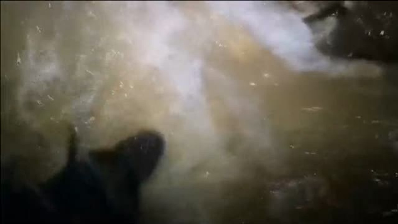 Muere un buceador en el rescate de los niños atrapados en la cueva de Tailandia