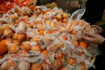 WWF : L'homme ingère 5 grammes de plastique chaque semaine !