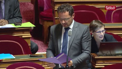 Fonction Publique : le Sénat adopte « l’amendement Benalla »