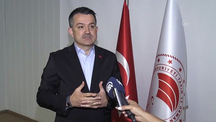 Çay üreticisine budama desteği bugün ödenecek - İSTANBUL
