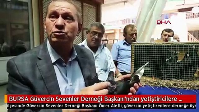 BURSA Güvercin Sevenler Derneği Başkanı'ndan yetiştiricilere Derneğimize üye olsunlar