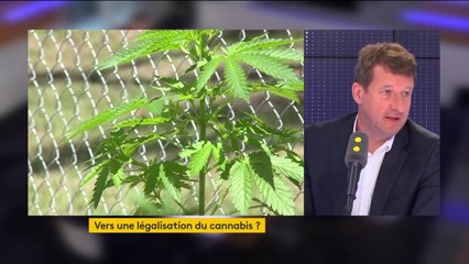 Légalisation du cannabis : "L'idéologie de l'interdit ne fonctionne pas", estime Yannick Jadot