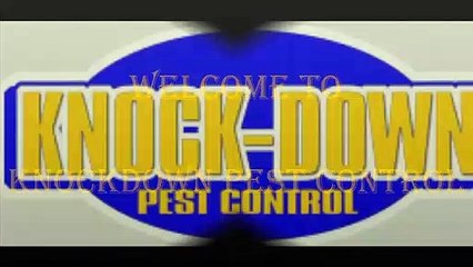 Pest Control Company Sydney