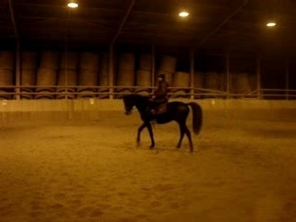 Milou travail cabriole