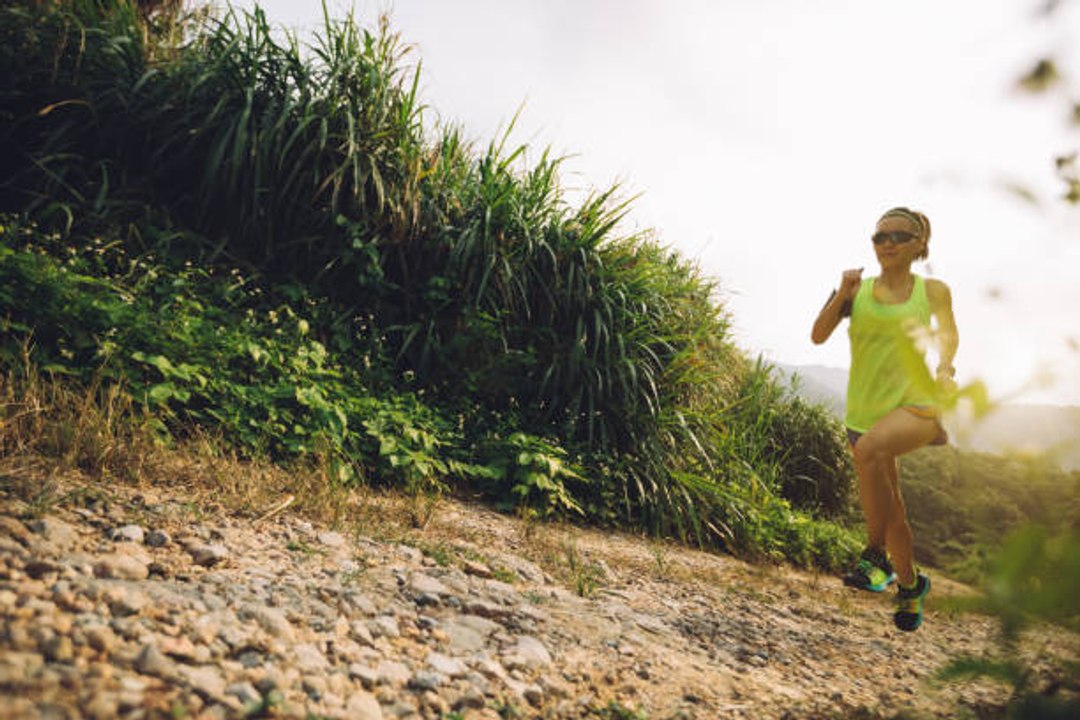 Trail: Tipps für das Training