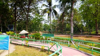 Sajnekhali Ecotourism Centre Museum in Sunderbans Tiger Reserve .