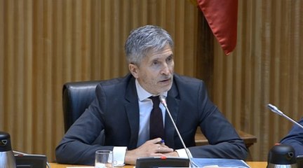 Marlaska asegura que intentará sustituir las concertinas