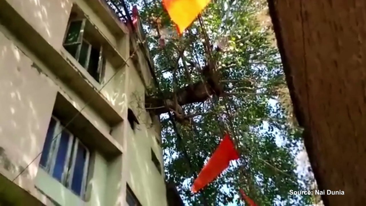 গাছ না কেটেই বাড়ি বানালেন এই পরিবার